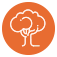 conservation-arbre Conservation arbres centenaires.
